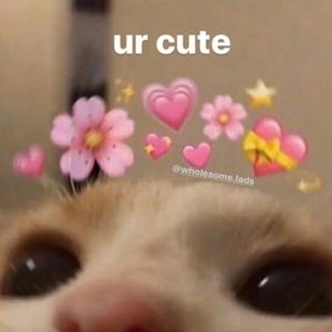 Meet your Posher, Hanna